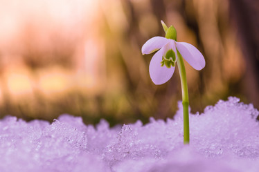 Similar image 20999542