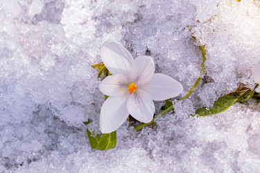 Similar image 20999543