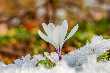 Similar image 20999544