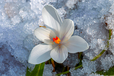 Similar image 20999546