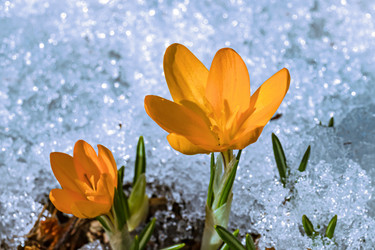 Similar image 20999547