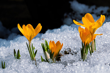 Similar image 20999548