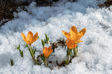 Similar image 20999549