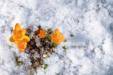 Similar image 20999550