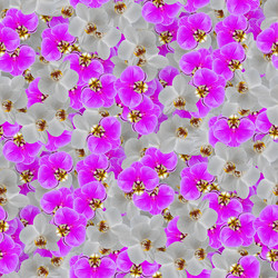 Similar image 20999552