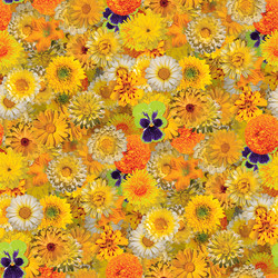 Similar image 20999557