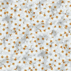 Similar image 20999558