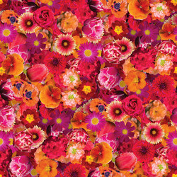 Similar image 20999559