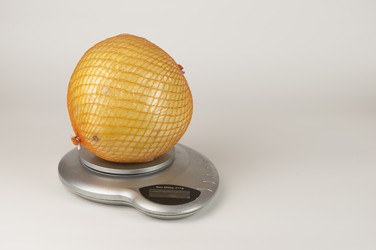 Similar image 21004108