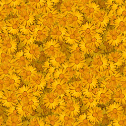 Similar image 20999565