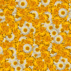 Similar image 20999566