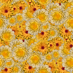 Similar image 20999567