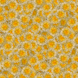 Similar image 20999568