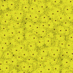 Similar image 20999570