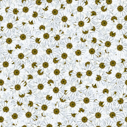 Similar image 20999574