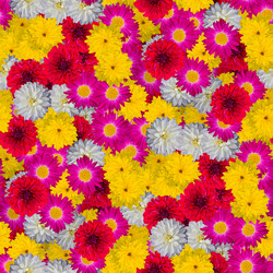 Similar image 20999582