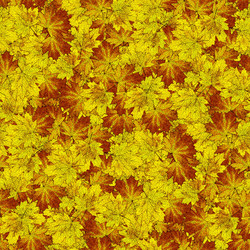 Similar image 20999583