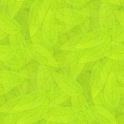 Similar image 20999691