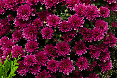 Similar image 20999692