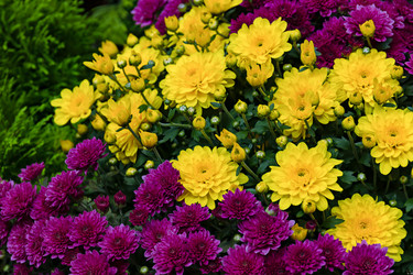 Similar image 20999693