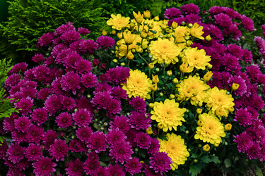 Similar image 20999694