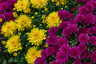 Similar image 20999695