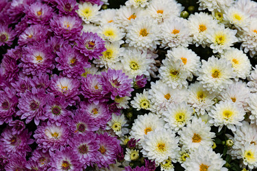 Similar image 20999696