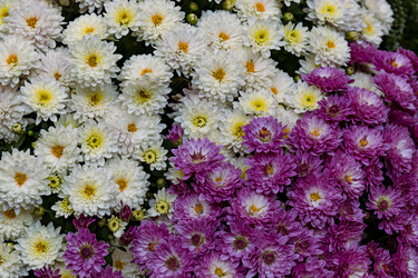 Similar image 20995987