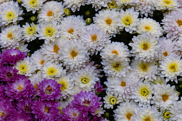 Similar image 20995988