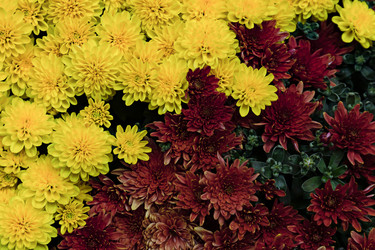 Similar image 20995989