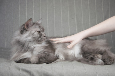 Similar image 21004289