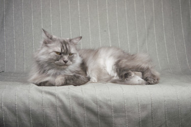 Similar image 21004290