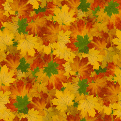 Similar image 20996126