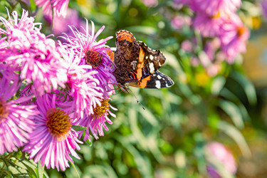 Similar image 20996128