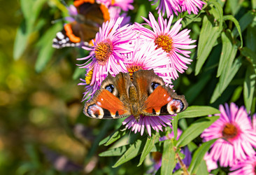 Similar image 20996130