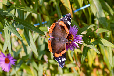 Similar image 20996131