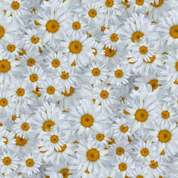 Similar image 20999600