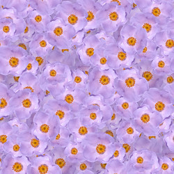 Similar image 20999602