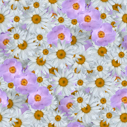 Similar image 20999603