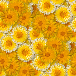 Similar image 20999611