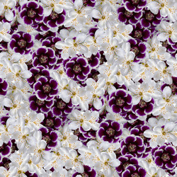 Similar image 20999612