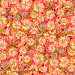 Similar image 20999614