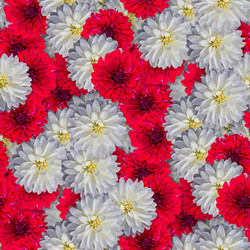 Similar image 20999621