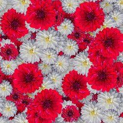 Similar image 20999622