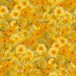 Similar image 20999623