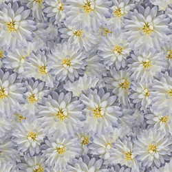 Similar image 20999624