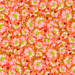 Similar image 20999625