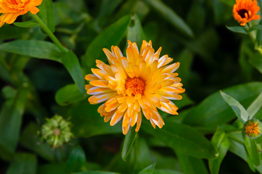 Similar image 20999626