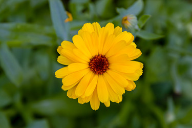 Similar image 20999628