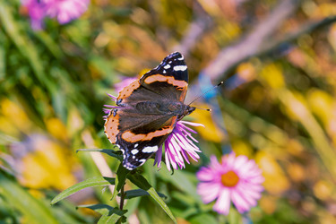 Similar image 20999629